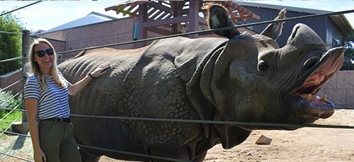 Up-Close Animal Encounters