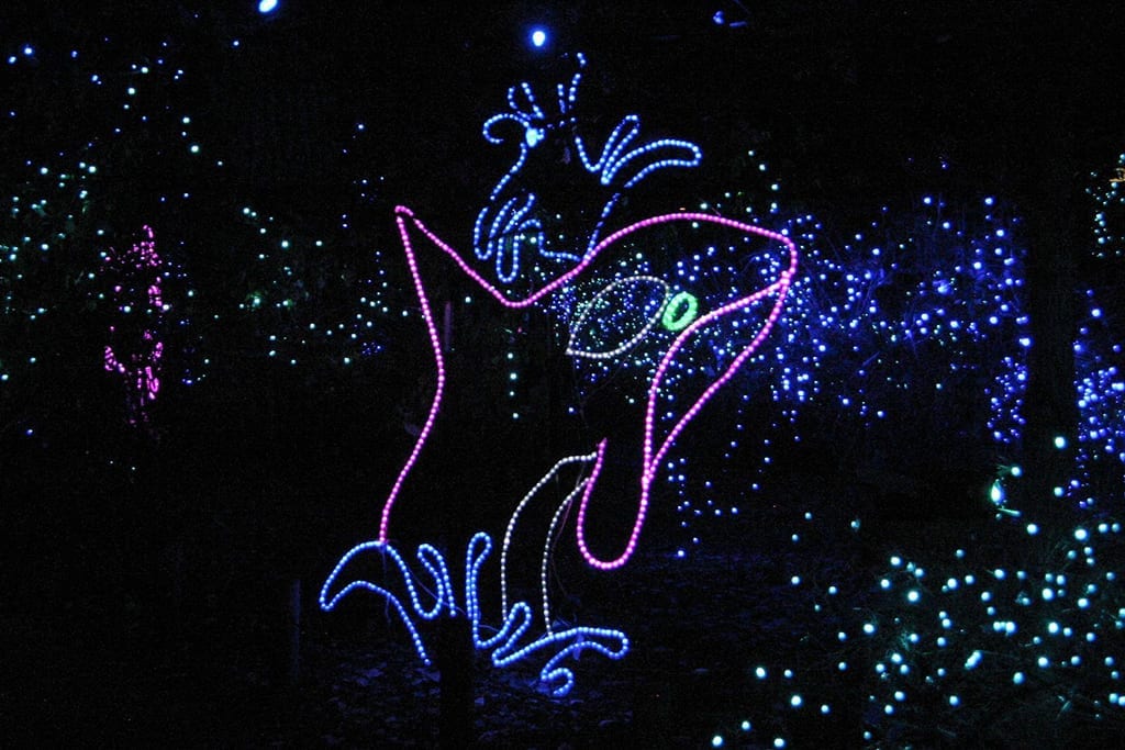 Zoo Lights - Denver Zoo Image Gallery - Zoo Lights - Denver Zoo