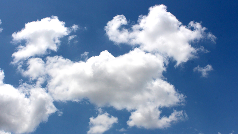 Cloud Critters Cloud Critters
